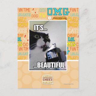 Carte Postale C'est magnifique