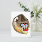CARTE POSTALE C'EST MANDRILL (Debout devant)