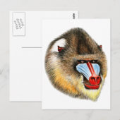CARTE POSTALE C'EST MANDRILL (Devant / Derrière)