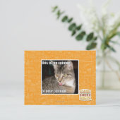 Carte Postale c'est mon opinion (Debout devant)