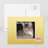 Carte Postale c'est mon opinion (Devant / Derrière)