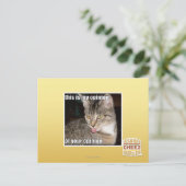 Carte Postale c'est mon opinion (Debout devant)