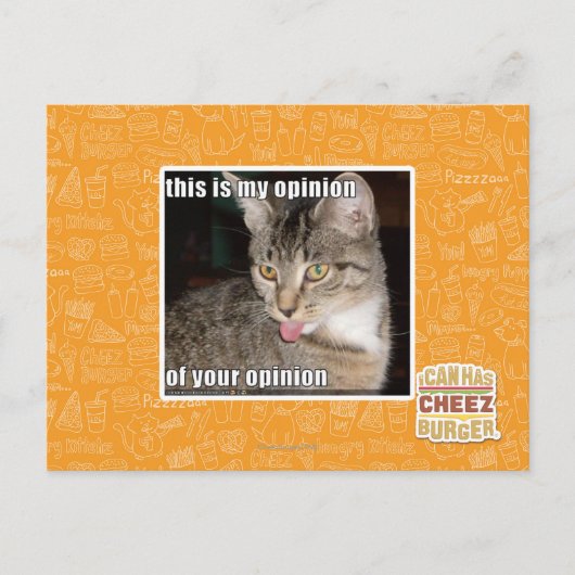 Carte Postale c'est mon opinion (Devant)