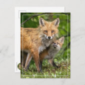 Carte Postale C'est mon père (Devant / Derrière)