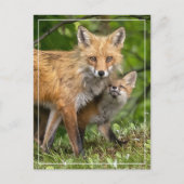 Carte Postale C'est mon père (Devant)