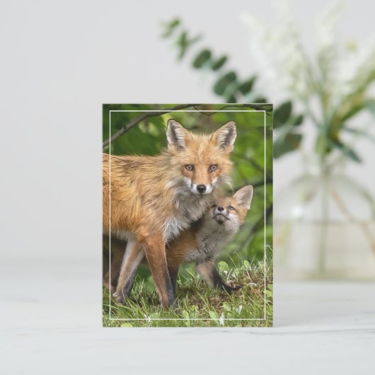 Carte Postale C'est mon père (Debout devant)