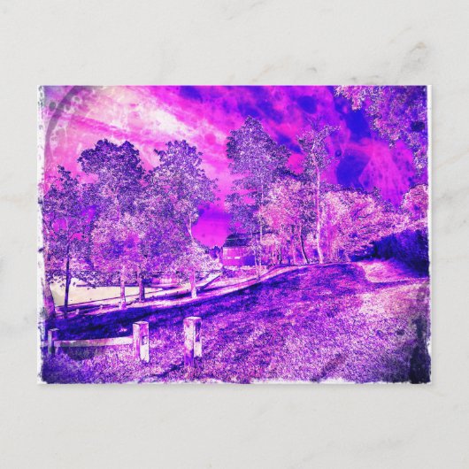 Carte Postale C'Est Plutôt Une Image Violette. (Devant)