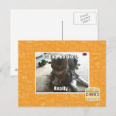 Carte Postale C'est serré. Il aime. (Devant / Derrière)