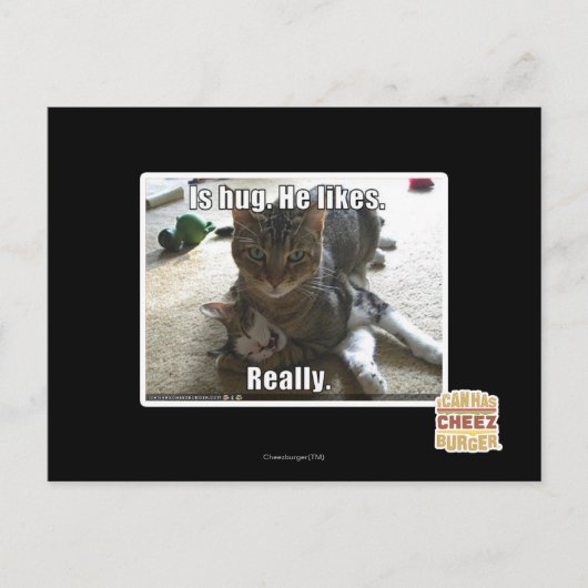 Carte Postale C'est serré. Il aime. (Devant)