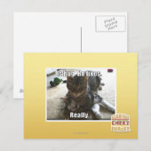 Carte Postale C'est serré. Il aime. (Devant / Derrière)