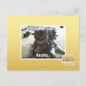 Carte Postale C'est serré. Il aime. (Devant)