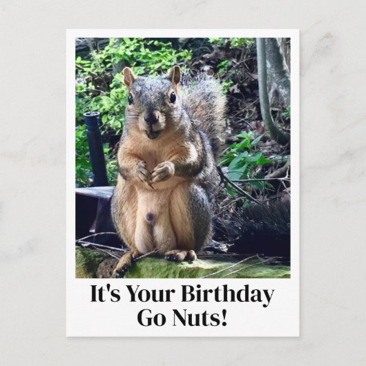 Carte Postale C'est ton anniversaire Go Nuts Funny Squirrel Joke (Devant)