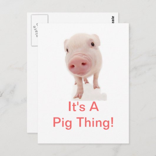 Carte Postale C'est un cochon (Devant / Derrière)