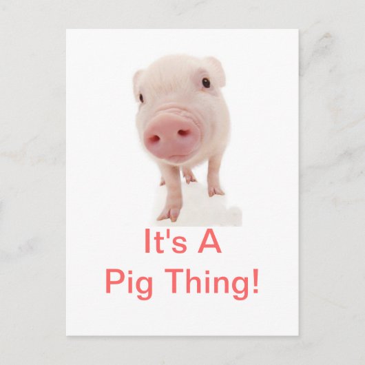 Carte Postale C'est un cochon (Devant)