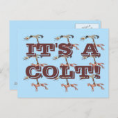 CARTE POSTALE C'EST UN COLT ! (Devant / Derrière)