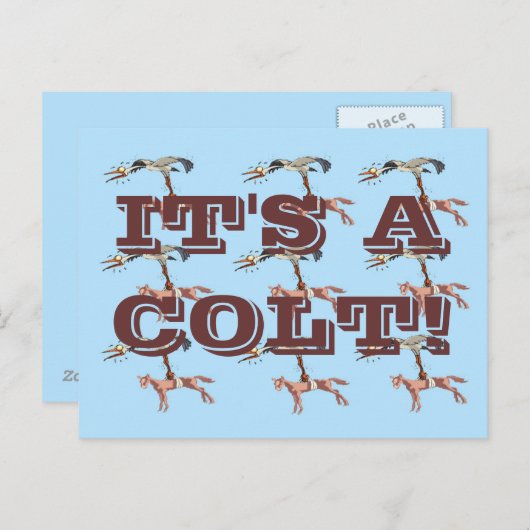 CARTE POSTALE C'EST UN COLT ! (Devant / Derrière)