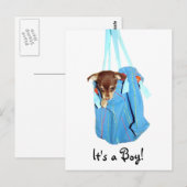Carte Postale C'est un garçon ! (Devant / Derrière)