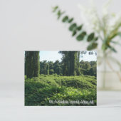Carte Postale C'Est Un Monde Kudzu Après Tout (Debout devant)