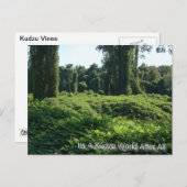 Carte Postale C'Est Un Monde Kudzu Après Tout (Devant / Derrière)