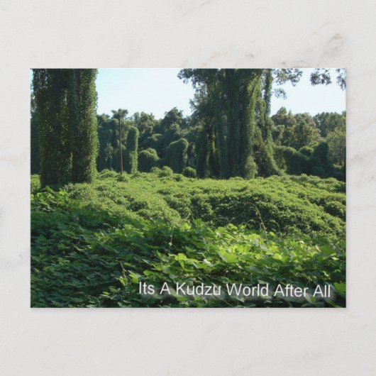Carte Postale C'Est Un Monde Kudzu Après Tout (Devant)
