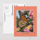 Carte Postale C'est un papillon monarque du jour (Devant / Derrière)
