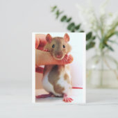 Carte Postale C'est un peu différent de Down Under Rattie (Debout devant)