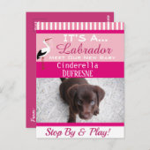 Carte Postale C'est une Faire-part "New Pet" (Devant / Derrière)