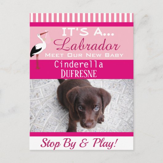 Carte Postale C'est une Faire-part "New Pet" (Devant)