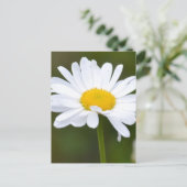 Carte Postale C'est une marguerite (Debout devant)