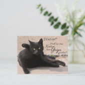 Carte Postale C'était ça ? ! ? Noch nie eine Katze beim Yoga ges (Debout devant)