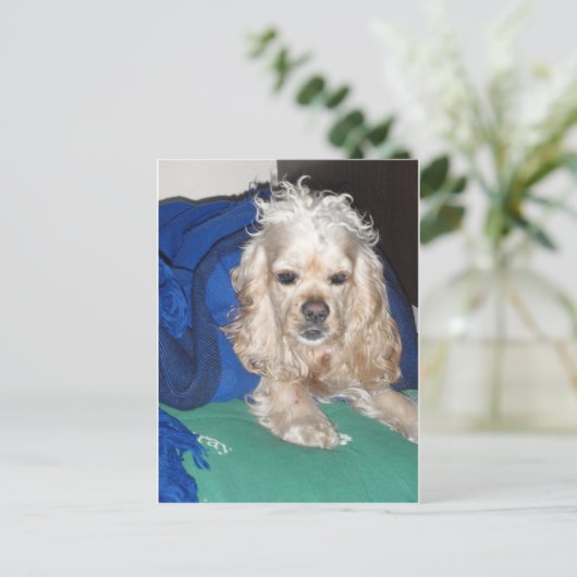 Carte Postale C'était une nuit difficile (Debout devant)