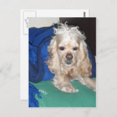 Carte Postale C'était une nuit difficile (Devant / Derrière)