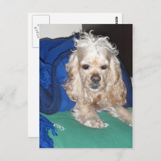 Carte Postale C'était une nuit difficile (Devant / Derrière)