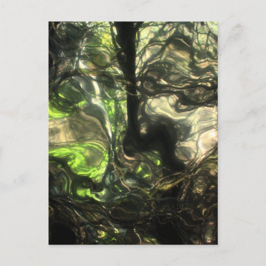 Carte Postale Cette nuit dans la chambre de Max une forêt a gran (Devant)