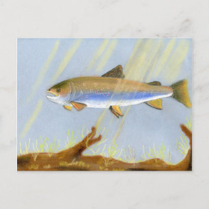 Carte Postale Cette oeuvre d'art primée présente le Brook Trou