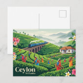Carte Postale Ceylan Sri Lanka (Devant / Derrière)