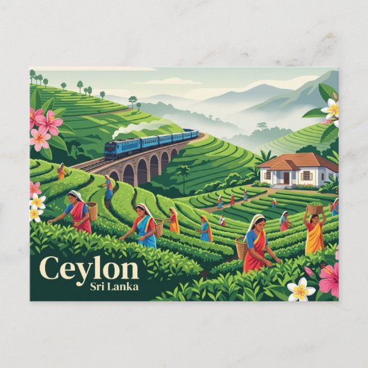 Carte Postale Ceylan Sri Lanka (Devant)