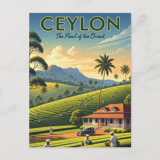 Carte Postale Ceylan Sri Lanka Travel (Devant)