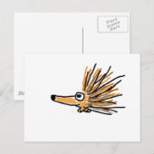 Carte Postale CF- Porcupine funky (Devant / Derrière)