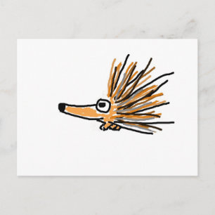 Carte Postale CF- Porcupine funky