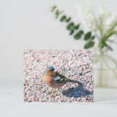 Carte Postale Chaffe (Debout devant)