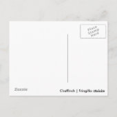 Carte Postale Chaffe (Dos)