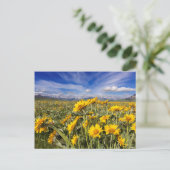 Carte Postale Chaîne de front des montagnes Rocheuses (Debout devant)