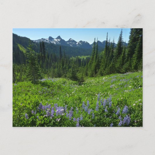 Carte Postale Chaîne des Cascades depuis le parc national du mon (Devant)