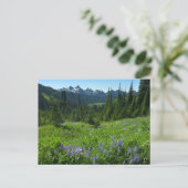 Carte Postale Chaîne des Cascades depuis le parc national du mon (Debout devant)