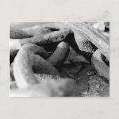 Carte Postale Chaînes (Devant)