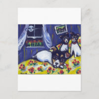 Chaises longues Rat terrier