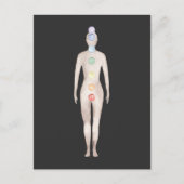 Carte Postale Chakras (Devant)