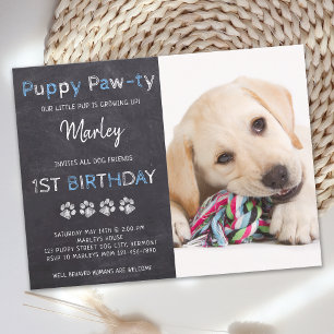 Carte Postale Chalkboard Puppy Pawty Blue Dog fête d'anniversair