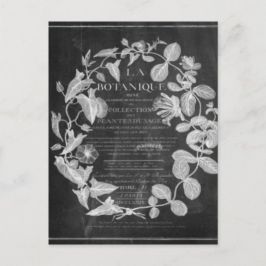 Carte Postale chalkboard scripts d'art botanique français lierre (Devant)